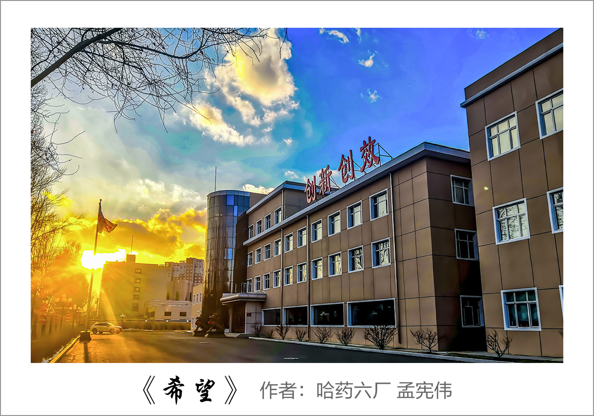 【迎國(guó)慶 展風(fēng)采】我眼中的哈藥&mdash;&mdash;職工攝影大賽作品展示！